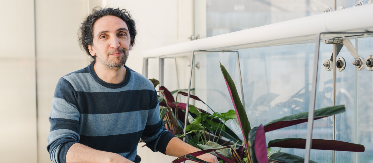 Aquaponics system is already in operation